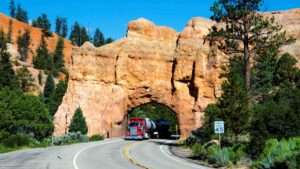 The Fascinating World of the American Trucking Industry